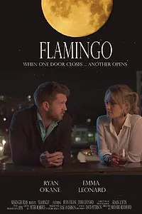 Постер к фильму «Фламинго (2020)»