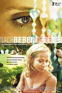 Постер к фильму «Nachbeben (2006)»