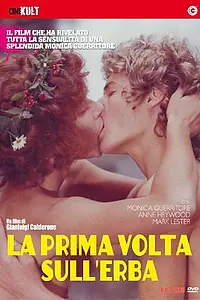 Главный постер фильма «Любовь под вязами (1975)»