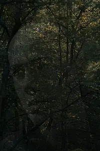 Главный постер фильма «Derrière nos yeux (2018)»