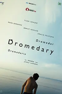 Постер к фильму «Dromedar (2019)»