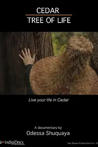 Главный постер фильма «Cedar Tree of Life (2018)»
