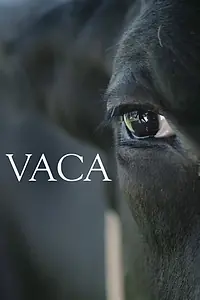 Постер к фильму «Vaca (2018)»