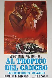 Главный постер фильма «Тропик Рака (1972)»