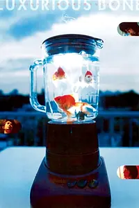 Главный постер фильма «Дорогая кость (2001)»
