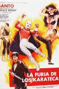Постер к фильму «La furia de los karatecas (1982)»