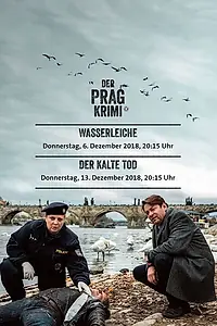 Постер к сериалу «Преступление в Праге (2018)»