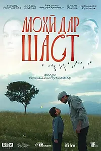 Постер к фильму «Рыбка на крючке (2025)»