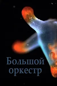 Главный постер фильма «Большой оркестр (2018)»