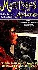 Постер к фильму «Бабочки в лесах (1996)»