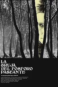 Главный постер фильма «The Wandering Witch (2018)»
