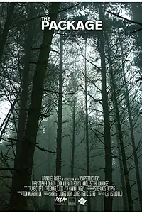 Постер к фильму «The Package (2018)»