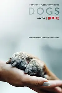 Постер к сериалу «Друг человека (2018)»