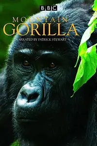Главный постер сериала «BBC: Горная горилла (2010)»