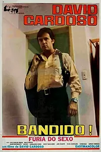 Главный постер фильма «Бандит! Ярость секса (1979)»