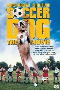 Главный постер фильма «Король футбола (1999)»