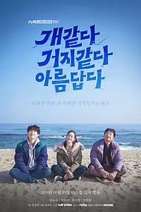 Главный постер фильма «Красивое и уродливое (2019)»