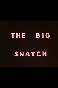 Главный постер фильма «The Big Snatch (1971)»