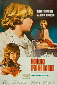 Постер к фильму «Запретный роман (1971)»