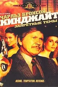 Постер к фильму «Кинджайт: Запретные темы (1988)»