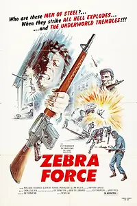 Постер к фильму «Отряд «Зебра» (1976)»