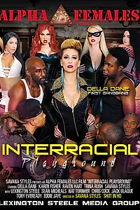 Постер к фильму «Interracial Playground (2018)»