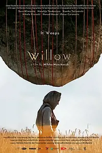 Главный постер фильма «Ива (2019)»