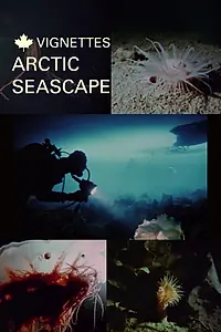 Главный постер фильма «Canada Vignettes: Arctic Seascape (1980)»
