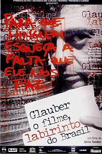 Постер к фильму «Лабиринт Бразилии (2003)»