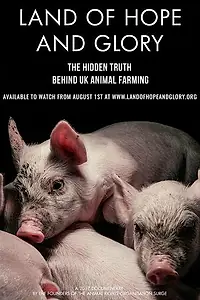 Главный постер фильма «Земля Надежды и Славы (2017)»