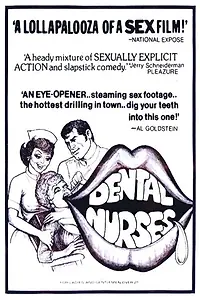 Главный постер фильма «The Dental Nurses (1975)»