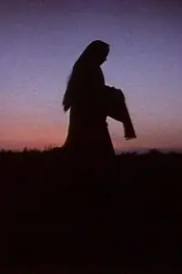 Главный постер фильма «Женщины в тени (1992)»