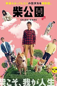 Постер к фильму «Парк Сиба (2019)»