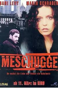 Главный постер фильма «Сумасшедший (1998)»