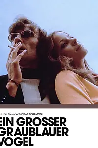 Постер к фильму «Большая серо-голубая птица (1970)»