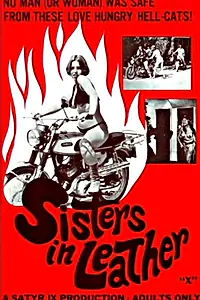 Главный постер фильма «Сестрички в коже (1969)»
