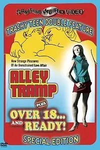 Постер к фильму «Бродяга из переулка (1968)»