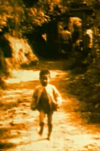 Постер к фильму «Frammenti elettrici n. 2 - Vietnam (2002)»