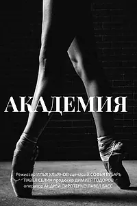 Постер к фильму «Академия (2014)»