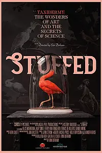 Постер к фильму «Stuffed (2019)»