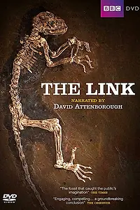 Главный постер фильма «В поисках наших далеких предков: Связь (2009)»