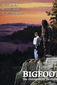 Главный постер фильма «Снежный человек: Незабываемая встреча (1995)»
