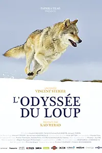 Главный постер фильма «Путешествие волка (2019)»