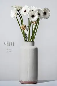 Постер к фильму «White (2021)»