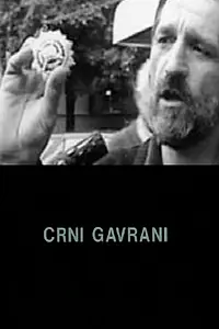 Постер к фильму «Crni gavrani (2002)»
