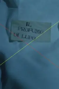 Главный постер фильма «Vladimir Propp- Profumo di lupo (1975)»