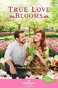 Постер к фильму «Когда расцветает любовь (2019)»