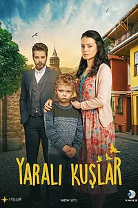 Постер к сериалу «Раненые птицы (2019)»
