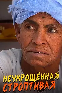 Главный постер фильма «Неукрощенная строптивая (2015)»