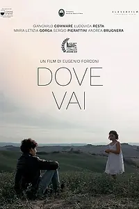 Постер к фильму «Dove Vai (2019)»